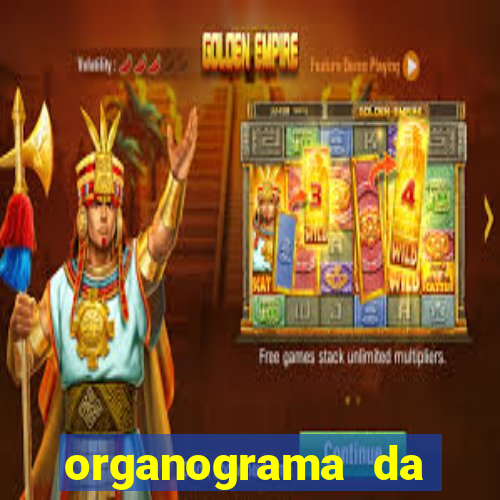 organograma da cacau show